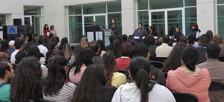 red institucional de prevencion y atencion a la salud mental universidad de guanajuato ug ugto