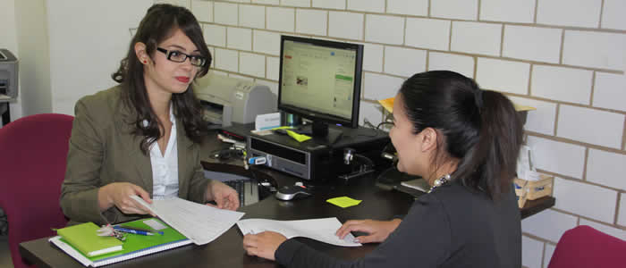 estructura organica academica