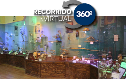 Museo de Historia Natural Alfredo Dugès