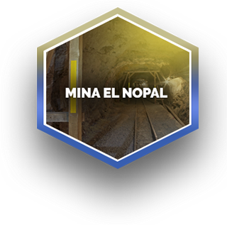 Nopal